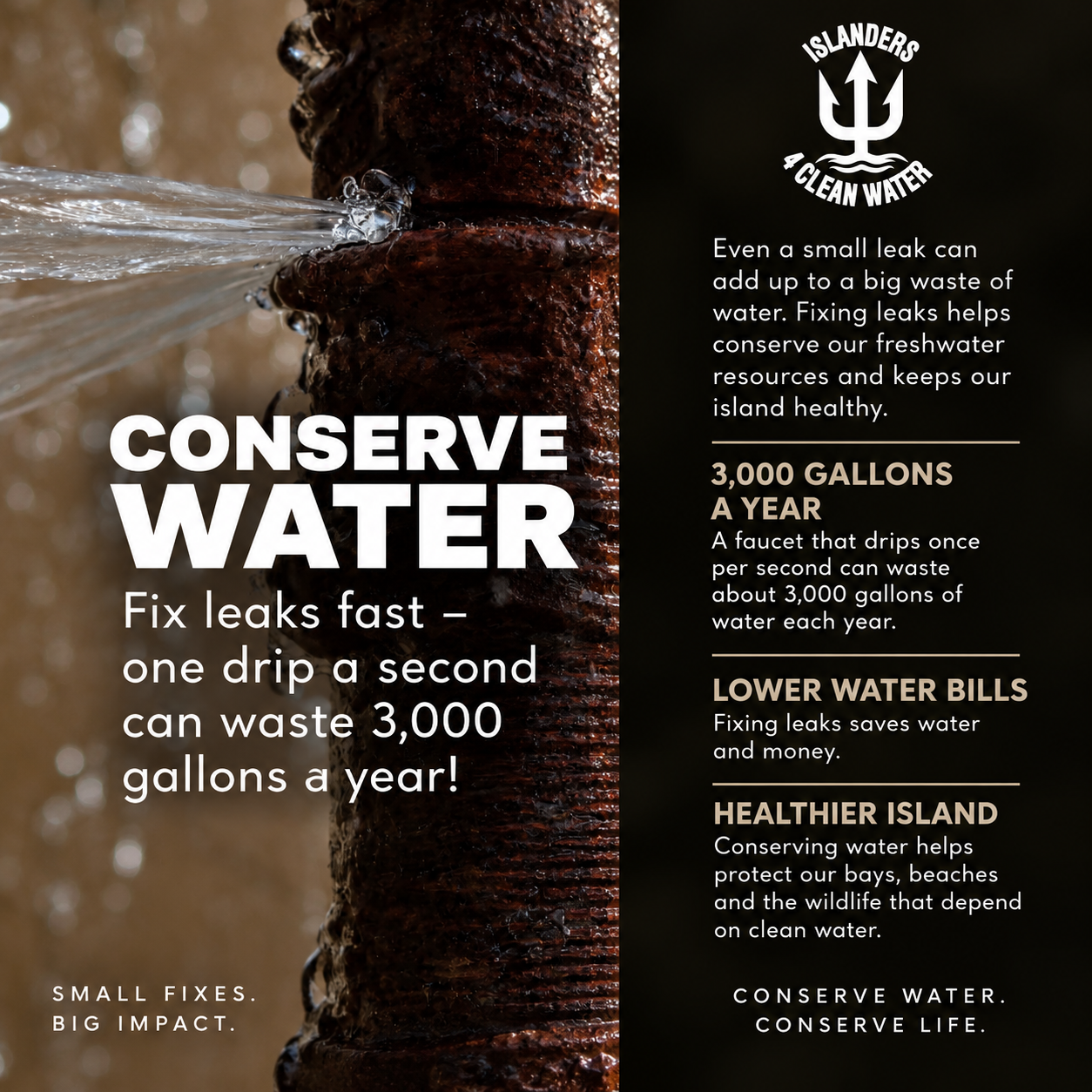 Fix leaks fast — one drip a second wastes 3,000 gallons a year