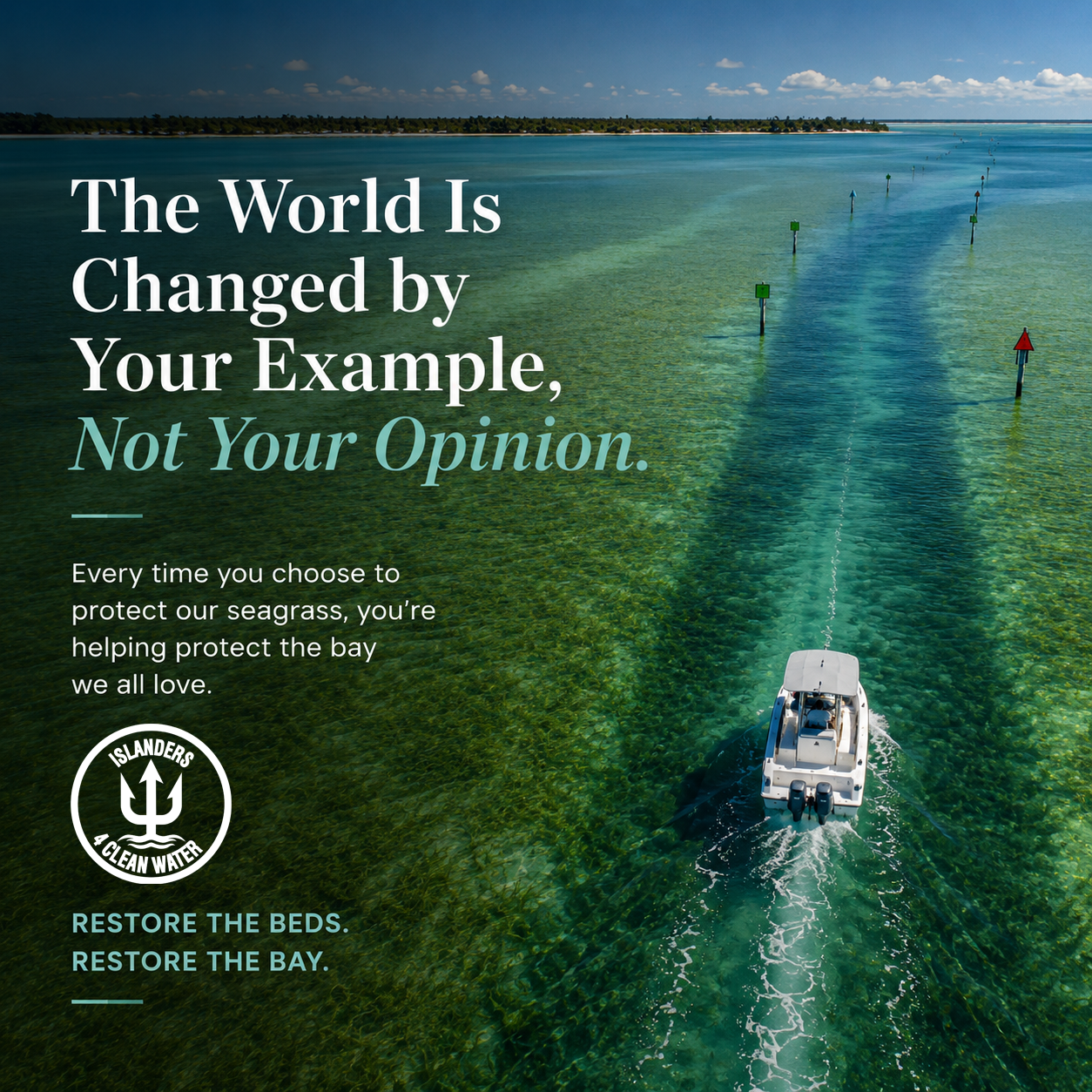 The world is changed by your example, not your opinion — boating over seagrass