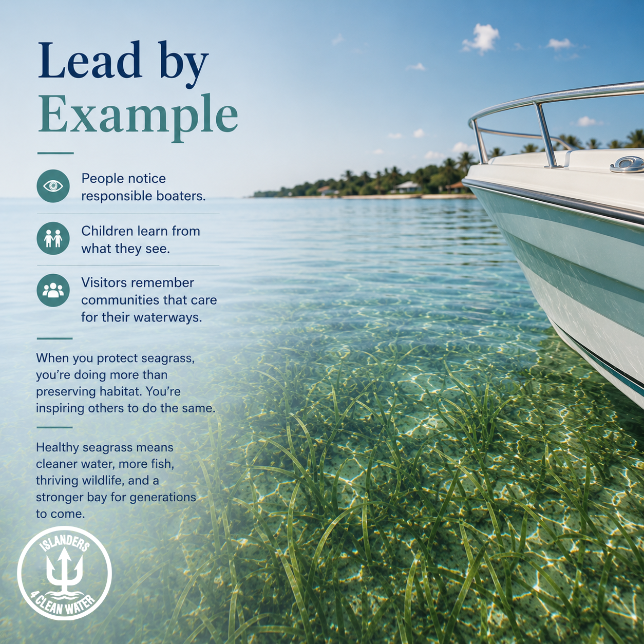 Lead by example — protect seagrass meadows