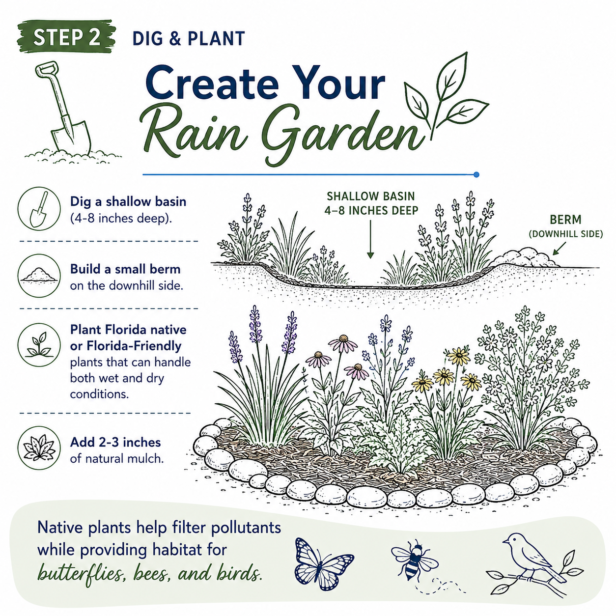 Step 2 — Dig & Plant: Create Your Rain Garden infographic