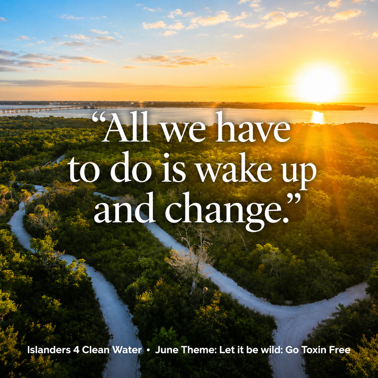 All we have to do is wake up and change — aerial river and forest at sunset