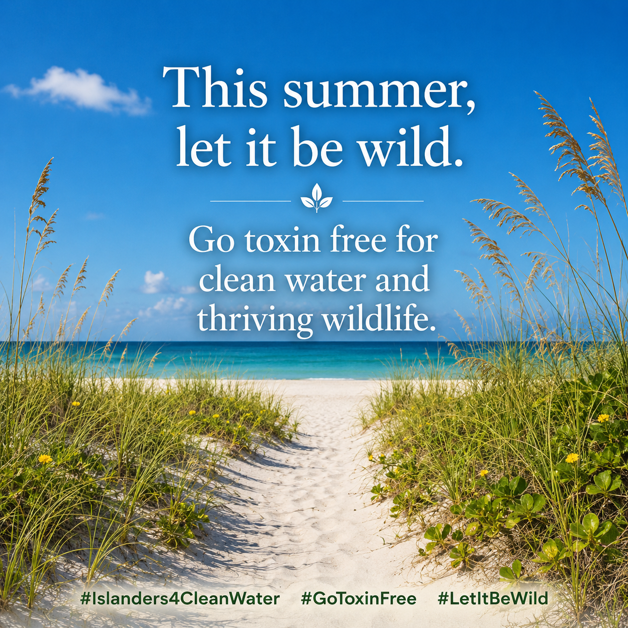 This summer, let it be wild — go toxin free for clean water and thriving wildlife